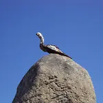 아파트 Nueve Olas, A Lanzada, Vivelo!! 산신소